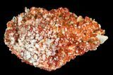Ruby Red Vanadinite Crystals on Barite - Morocco #100700-1